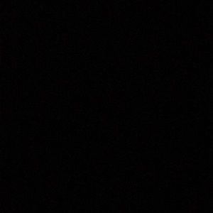 Meet your Posher, Genaro